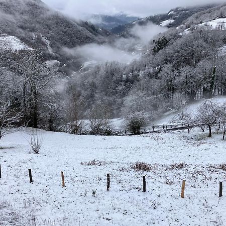 فيلا La So Casa -En El Corazon De Asturias Armiello المظهر الخارجي الصورة