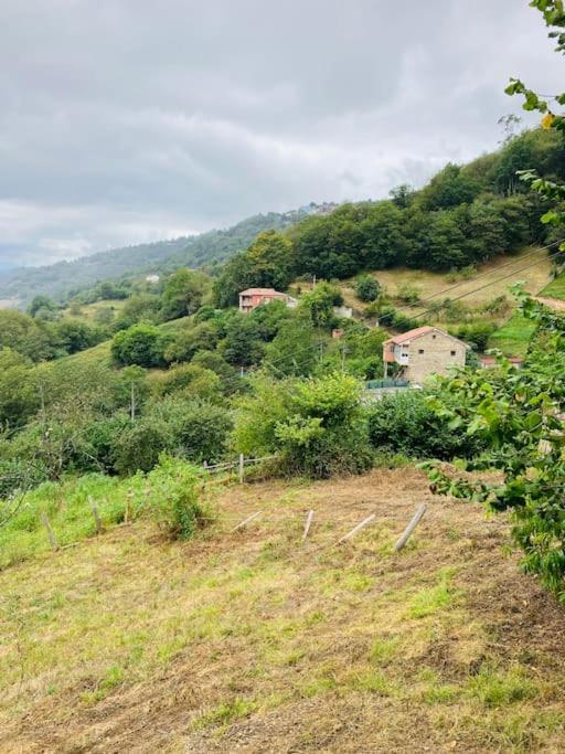 فيلا La So Casa -En El Corazon De Asturias Armiello المظهر الخارجي الصورة